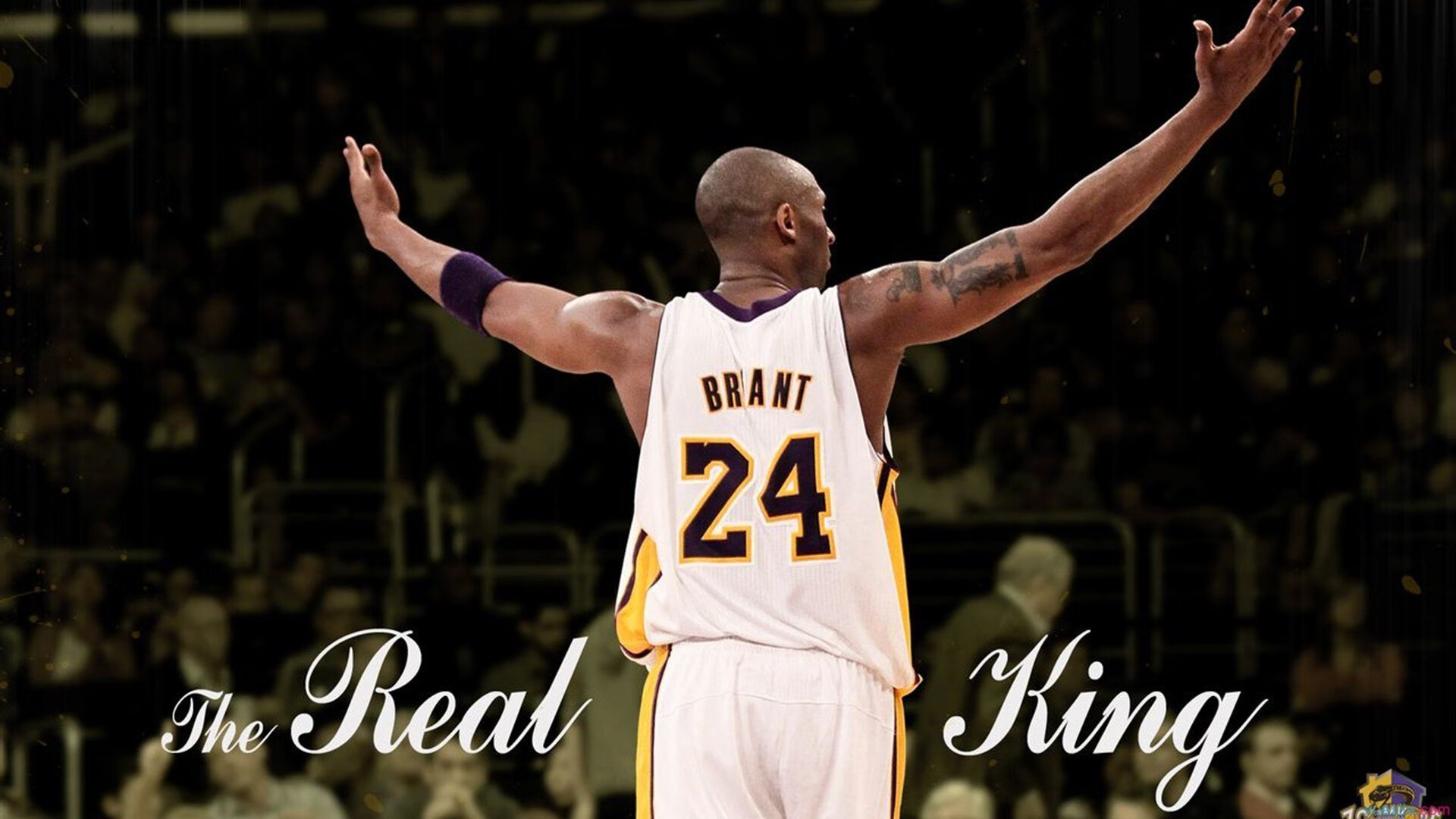 拉梅洛·鲍尔闪耀多伦多，步行者对阵猛龙，新星如何以全能表现主宰赛场